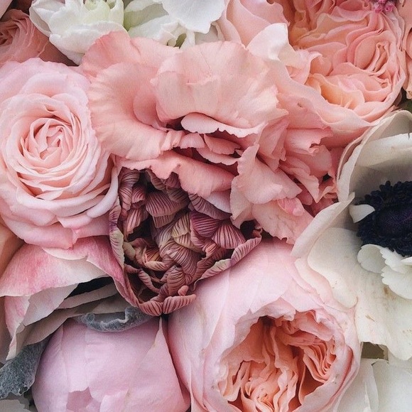 Meet your Posher, Catherine - Picture 1 of 1